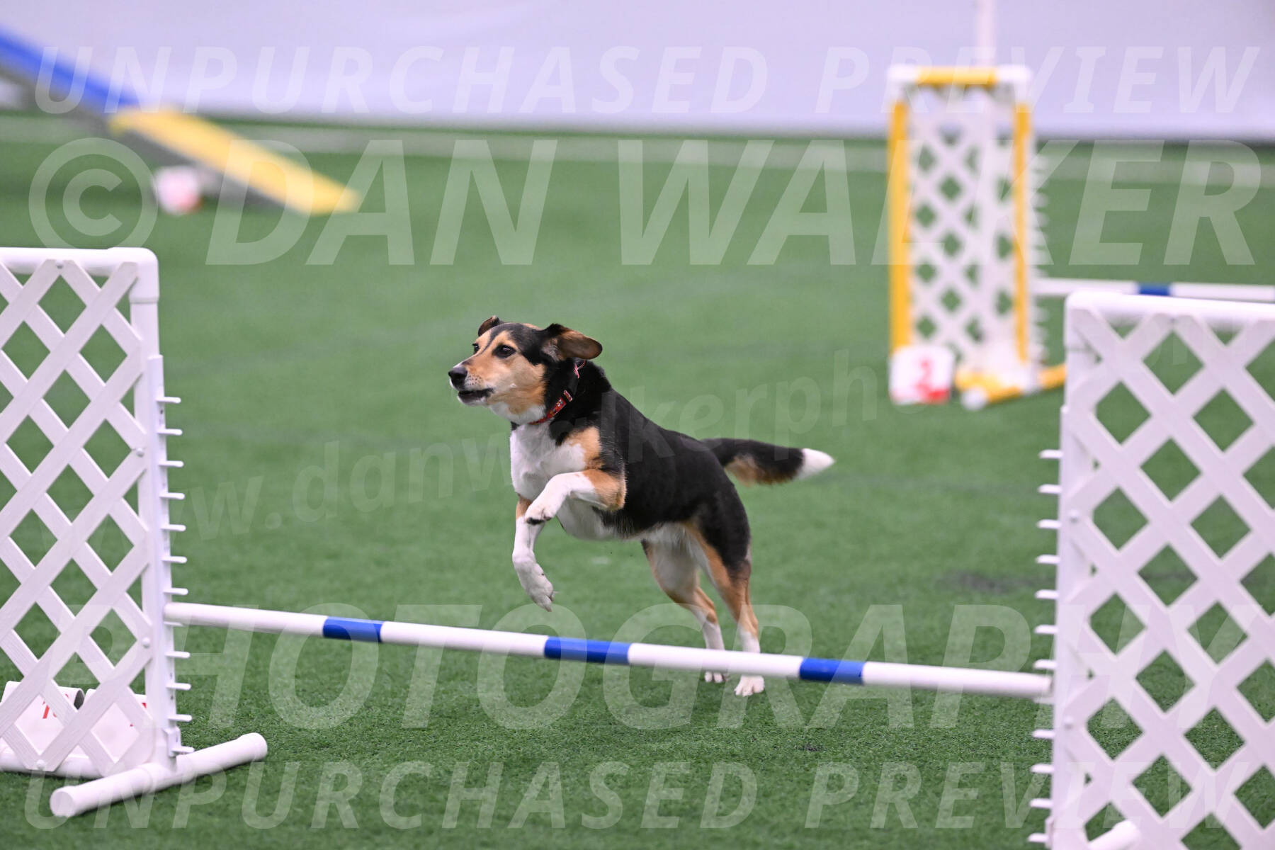 Rye-Elizabeth-Devore-04120