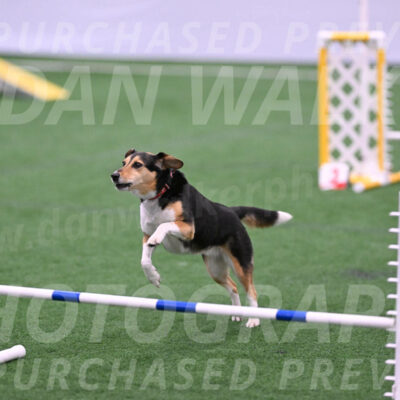 Rye-Elizabeth-Devore-04120