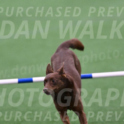 Saru-Casey-Roman-08006
