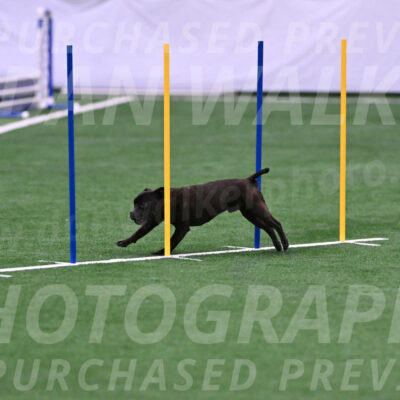 Schooner-Elissa-OSullivan-03079