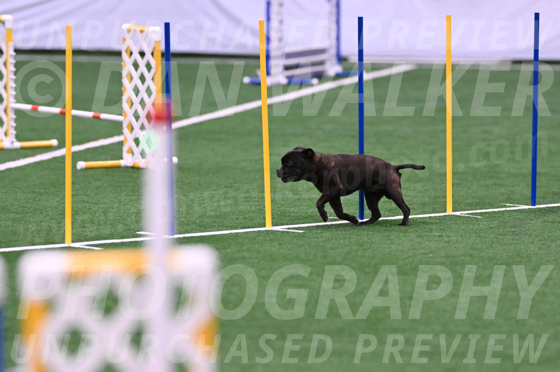 Schooner-Elissa-OSullivan-03087