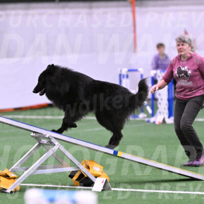 Score-Viola-Dyer-26045