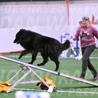 Score-Viola-Dyer-26046