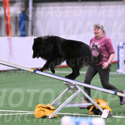 Score-Viola-Dyer-26048