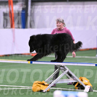 Score-Viola-Dyer-26049