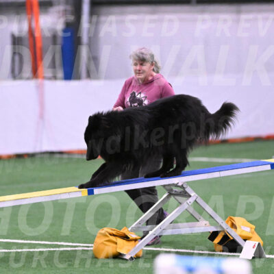 Score-Viola-Dyer-26051