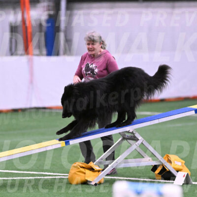 Score-Viola-Dyer-26052