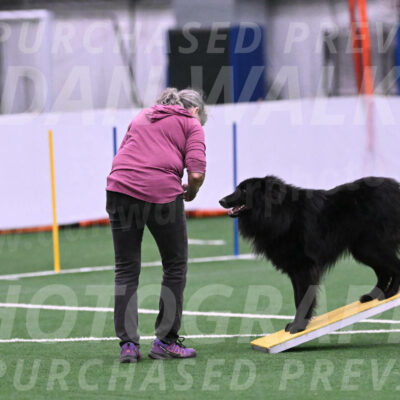 Score-Viola-Dyer-26053