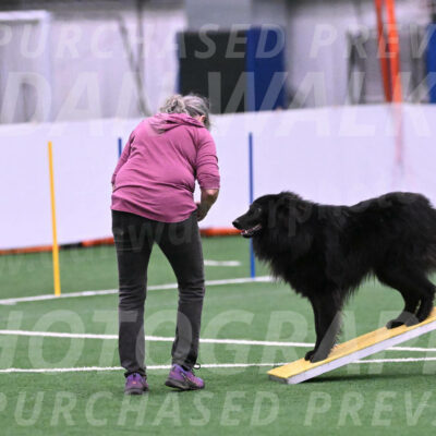 Score-Viola-Dyer-26054