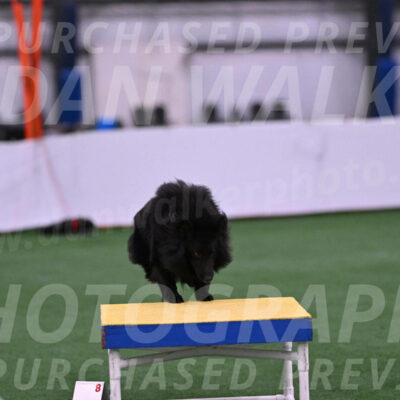 Score-Viola-Dyer-26059