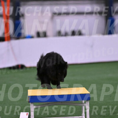 Score-Viola-Dyer-26060