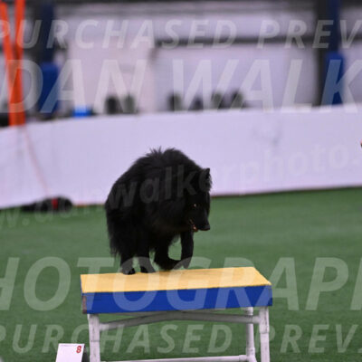 Score-Viola-Dyer-26061