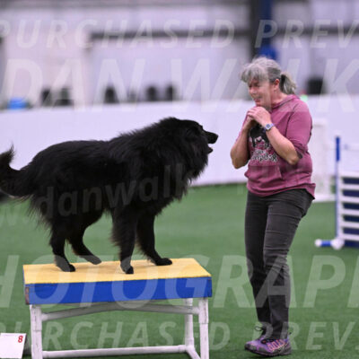 Score-Viola-Dyer-26062