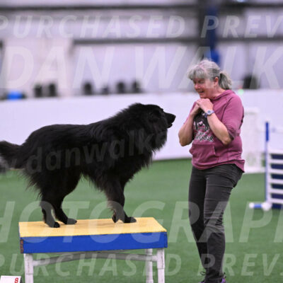 Score-Viola-Dyer-26063