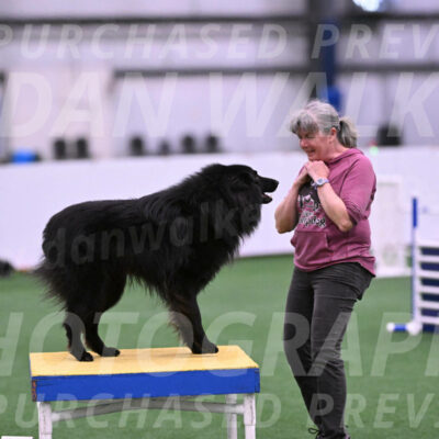 Score-Viola-Dyer-26064