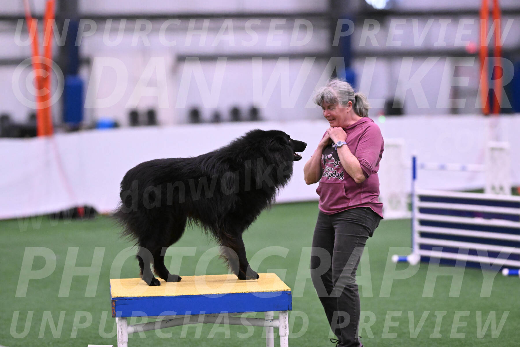 Score-Viola-Dyer-26064