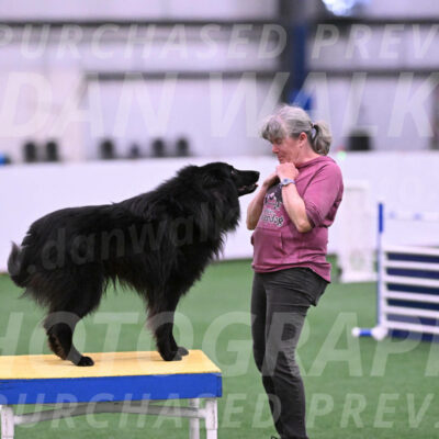 Score-Viola-Dyer-26065