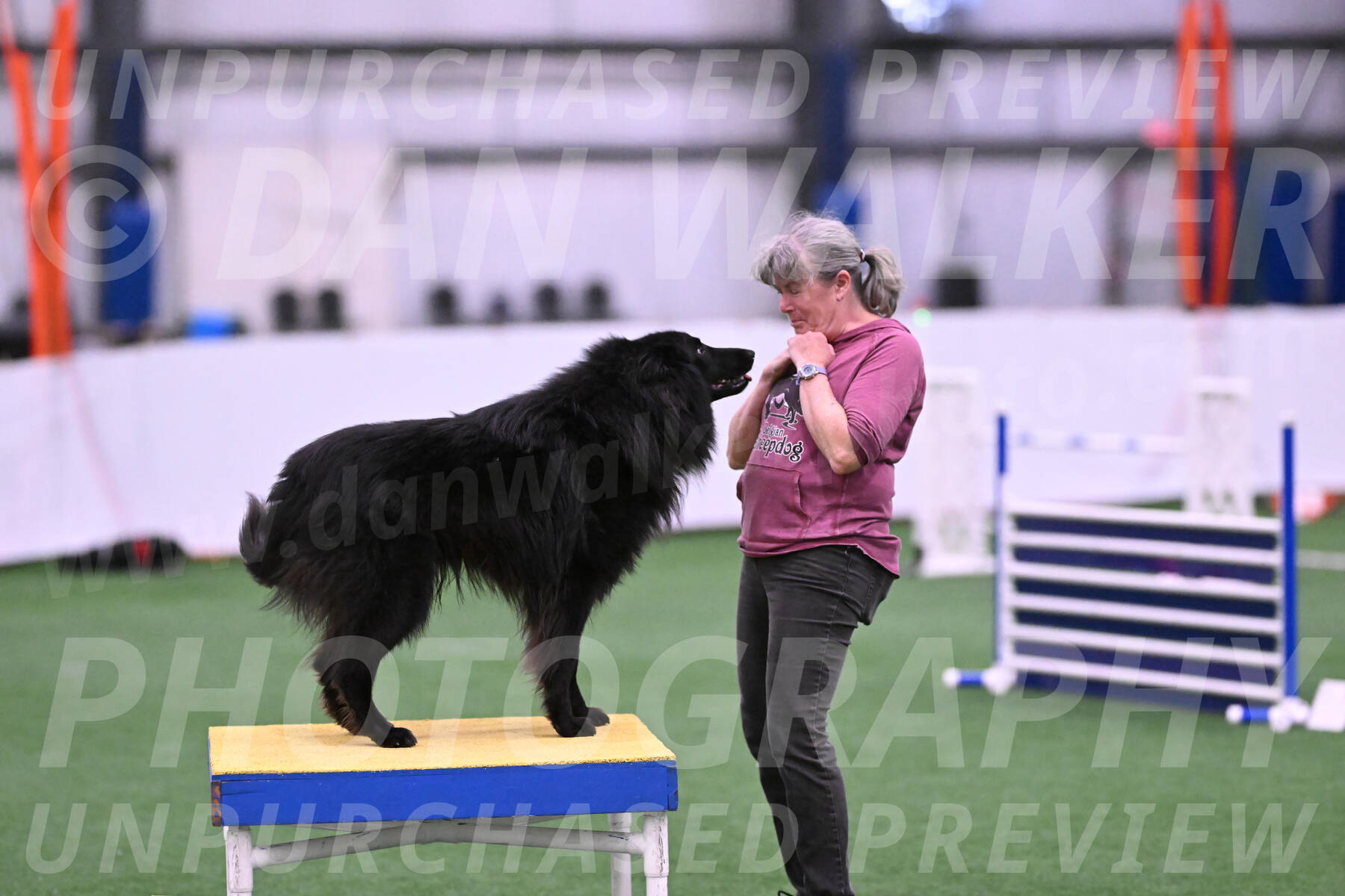 Score-Viola-Dyer-26065