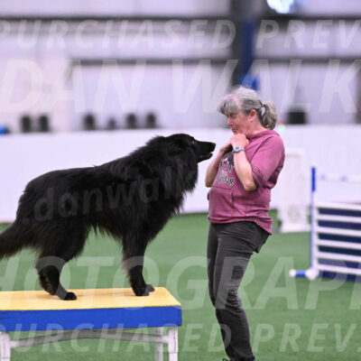Score-Viola-Dyer-26066