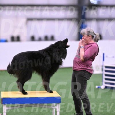 Score-Viola-Dyer-26067