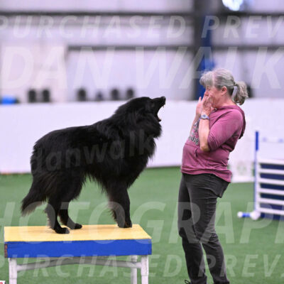 Score-Viola-Dyer-26068
