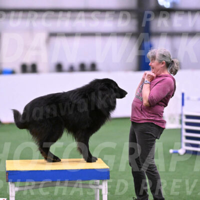 Score-Viola-Dyer-26069