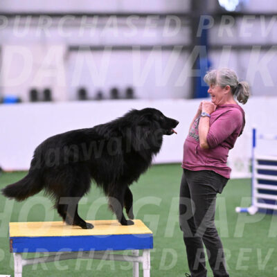 Score-Viola-Dyer-26070