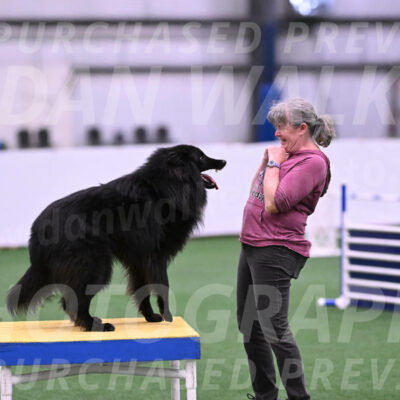 Score-Viola-Dyer-26071