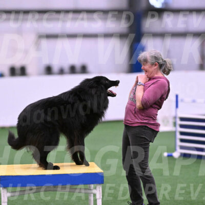Score-Viola-Dyer-26072