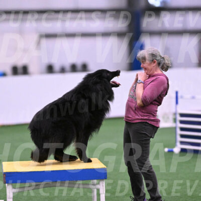 Score-Viola-Dyer-26073