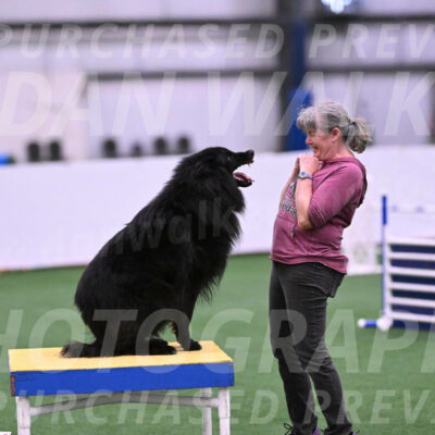 Score-Viola-Dyer-26074