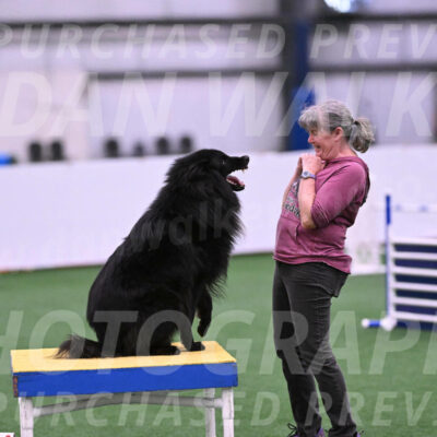 Score-Viola-Dyer-26075