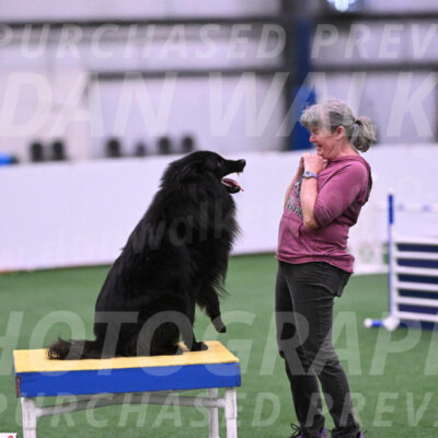 Score-Viola-Dyer-26076