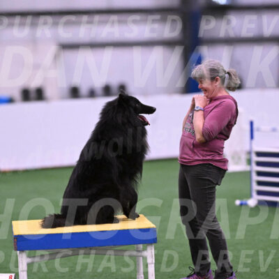 Score-Viola-Dyer-26077