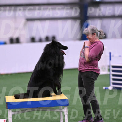 Score-Viola-Dyer-26078