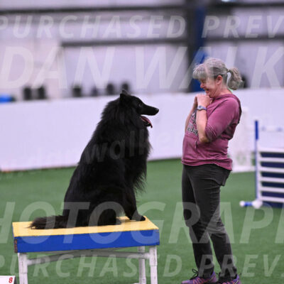 Score-Viola-Dyer-26079