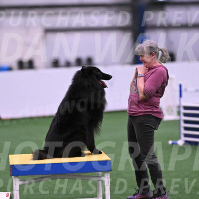 Score-Viola-Dyer-26080