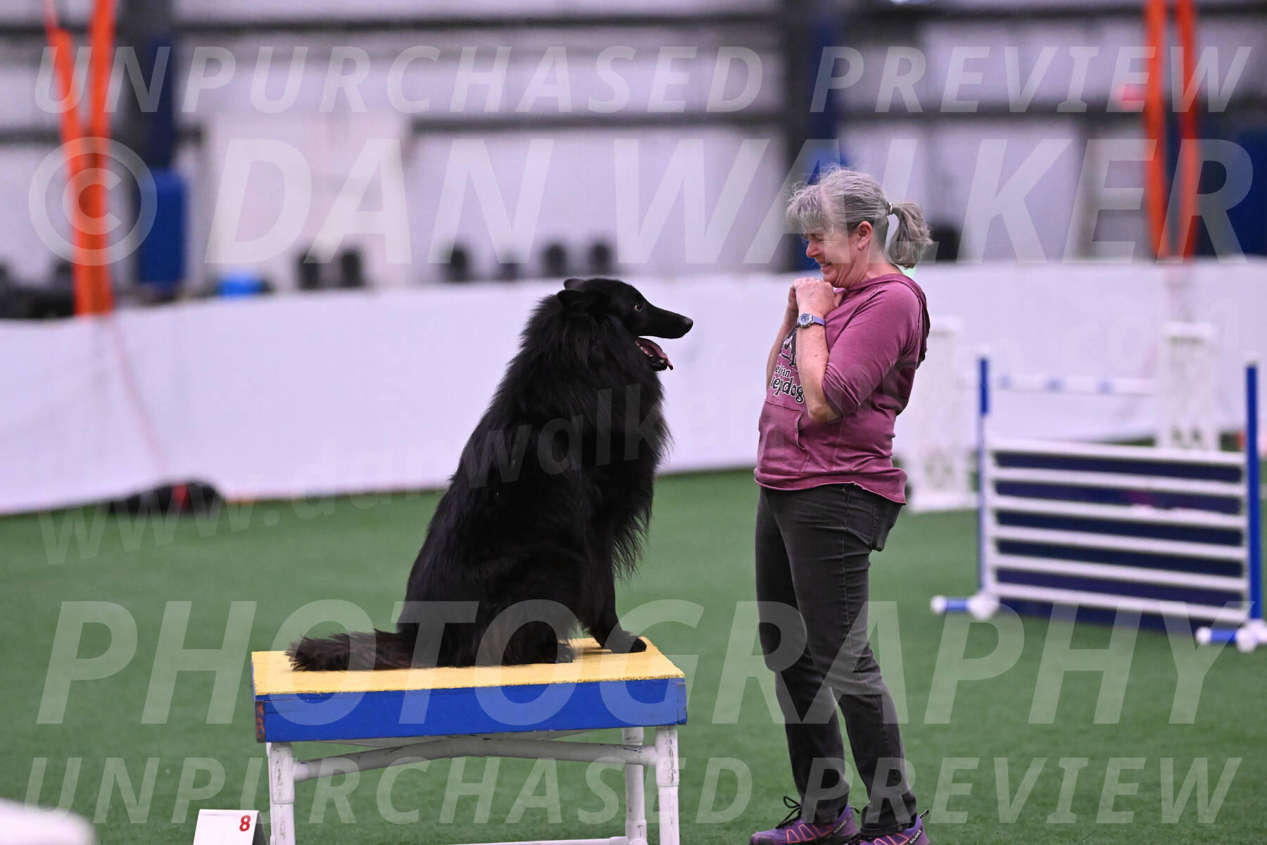 Score-Viola-Dyer-26081