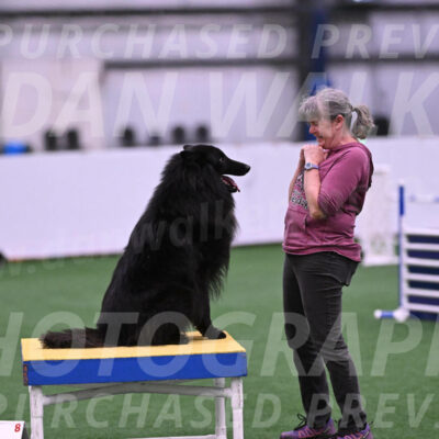 Score-Viola-Dyer-26081