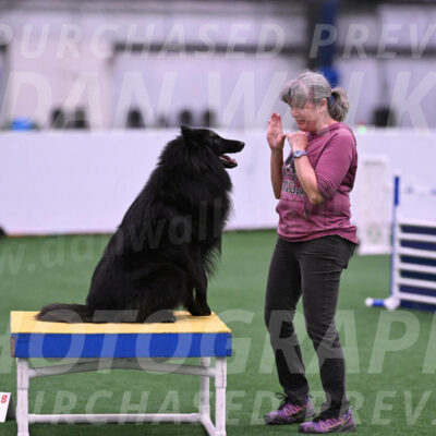 Score-Viola-Dyer-26082