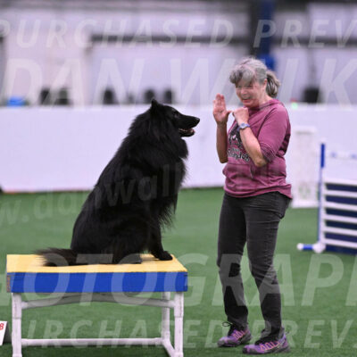 Score-Viola-Dyer-26083