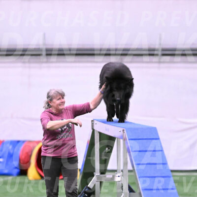 Score-Viola-Dyer-26090