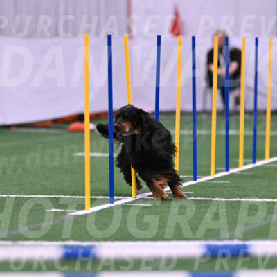 Sherrie-Julie-Ashley-29260