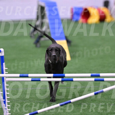 Shimmer-Gayle-Smith-22460