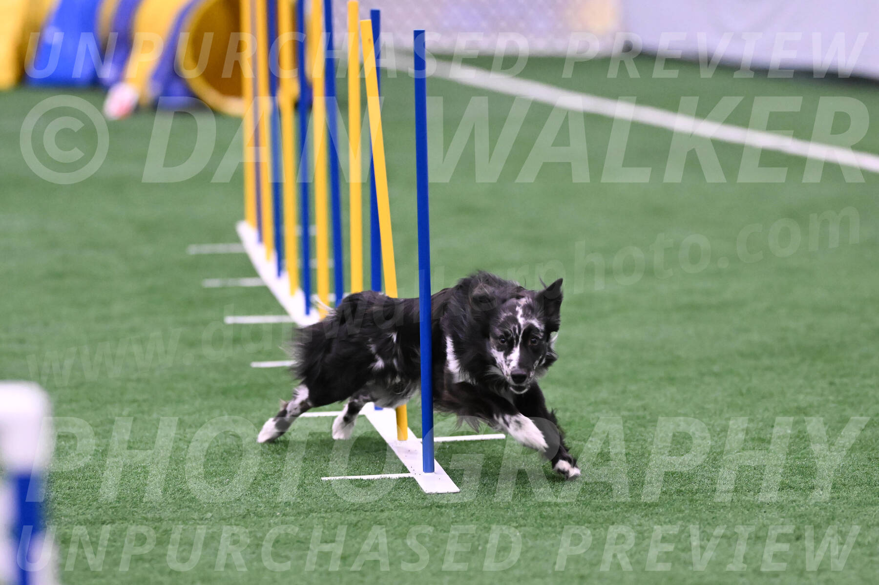 Sir-Koen-Christine-Armbrust-13130