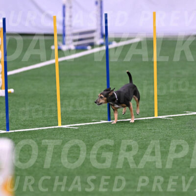 Skeet-Laura-Bell-05219
