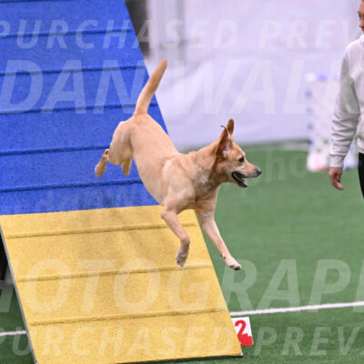 Sky-Tory-Waxman-29014