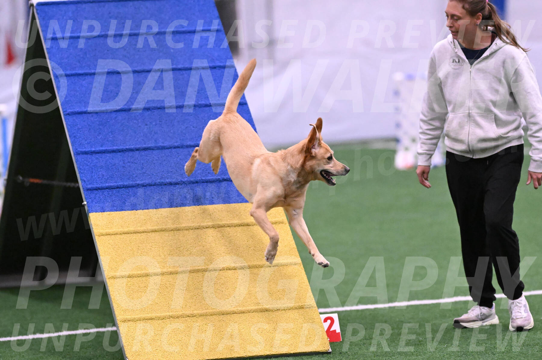 Sky-Tory-Waxman-29014