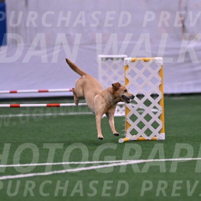 Sky-Tory-Waxman-29033