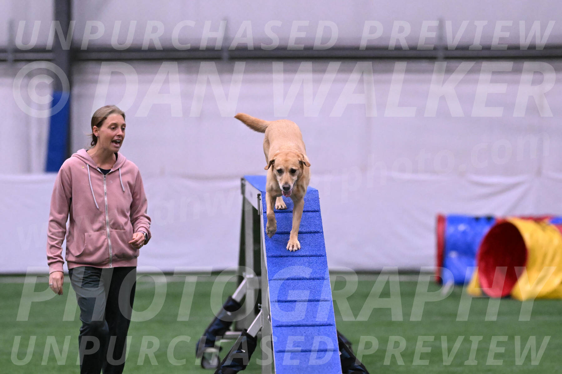 Sky-Tory-Waxman-29075